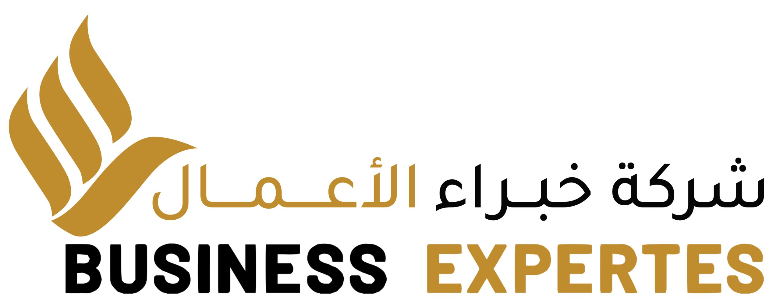 default-logo